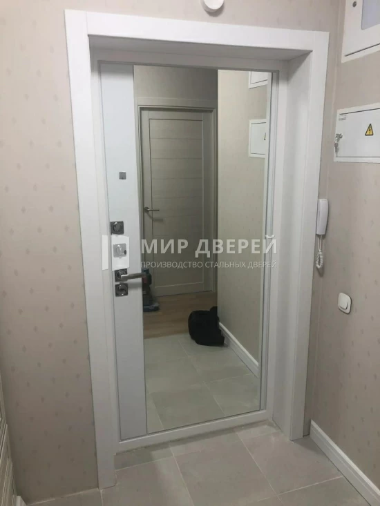 Фото двери № 434