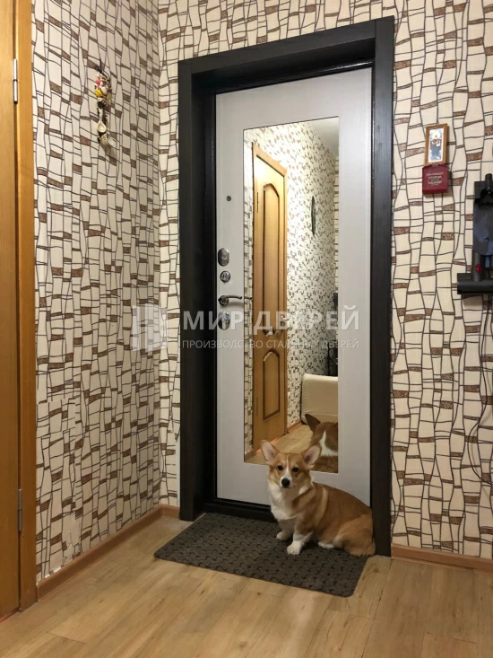 Фото двери № 450