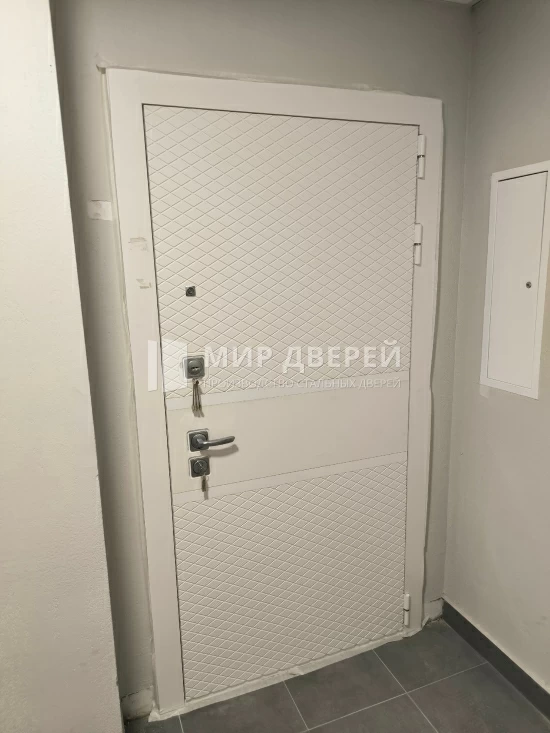 Фото двери № 534