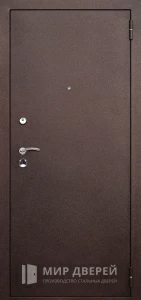 Порошковая дверь входная №100 внешняя - фото