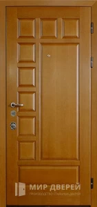 Металлическая дверь наружная на улицу №16 внешняя - фото