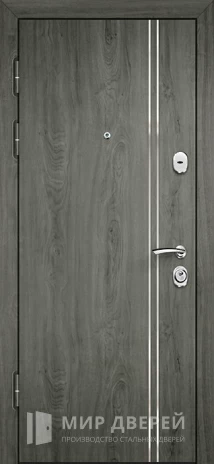 Фото 2 «Двухконтурная дверь в современном стиле для дома №2»