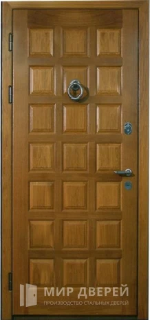 Фото 2 «Дверь входная с порошковым напылением и панелью №13»