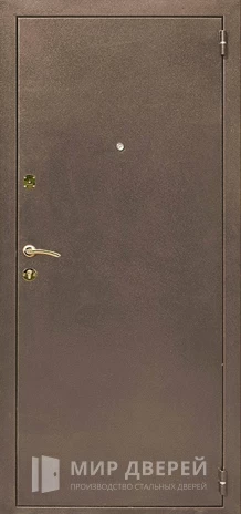 Фото «Входная дверь в дом с зеркалом №67»